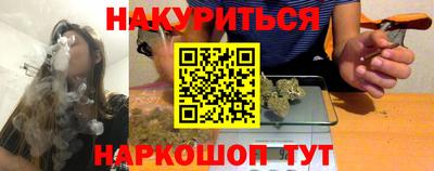гашик Моздок