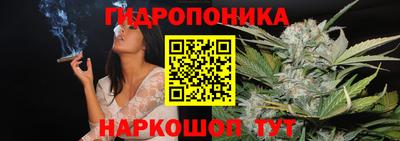 гашик Моздок