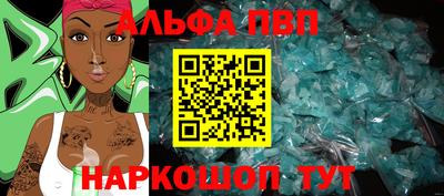 гашик Моздок