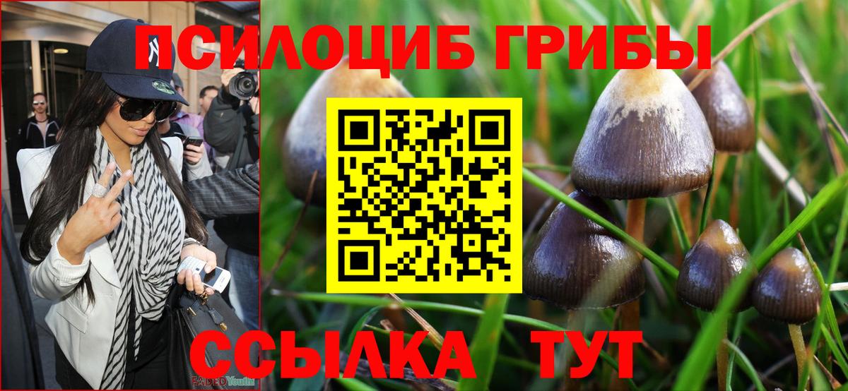 Псилоцибиновые грибы мицелий  Вход с VPN  Галлюциногенные грибы Cubensis  Туймазы 